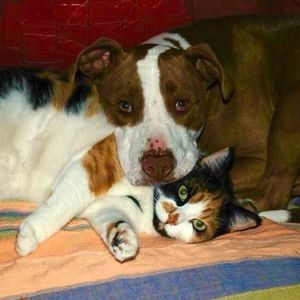 Meet your Posher, Melle